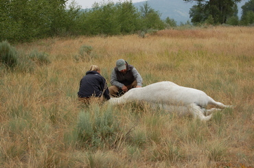 Laddie_with_erin_and_steve