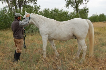 Laddie_with_steve_july_22