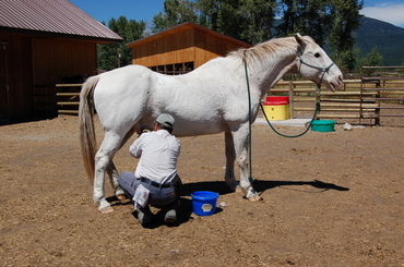 Shasta_with_steve_july_31