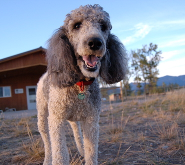 Molly_at_widgets_house_2