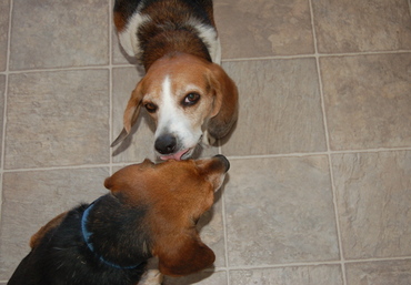 Stuart_with_briggs_2