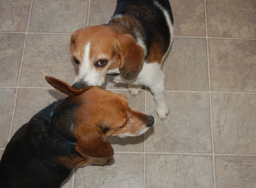 Stuart_with_briggs_3