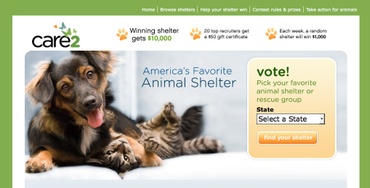 Care_2_animal_shelter_contest