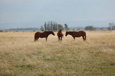 Lena_nikki_and_cash_sept_20