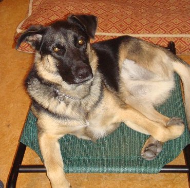 Kasha_on_arnolds_bed