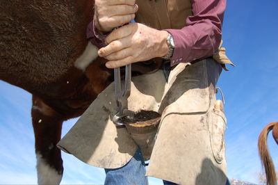 Patches having hoof trimmed