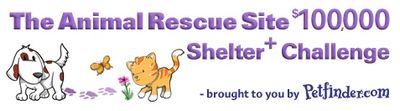 Shelter Challenge Logo