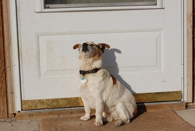 Granny sun worshipper