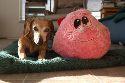 Bailey and Mr Caterpillar 3