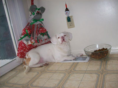 Baron with Ms. Mouse