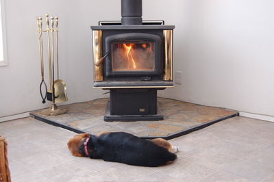 Widget in front of wood stove