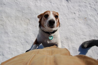 Stuart standing up 1