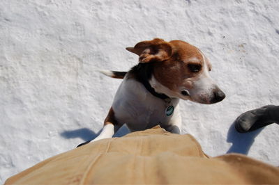 Stuart standing up 2