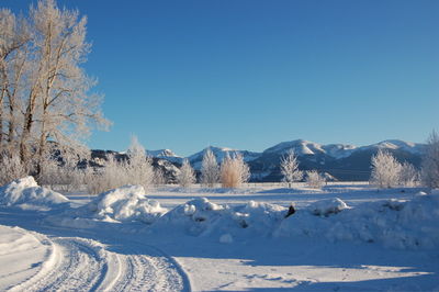 Winter scene 1 Feb 8