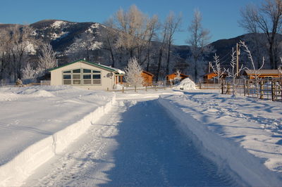 Winter scene 3 Feb 8