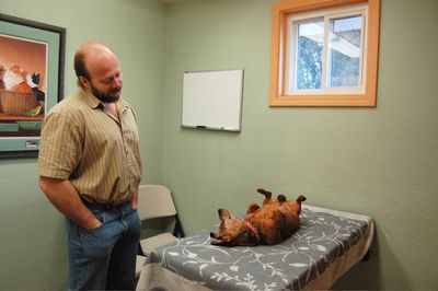 Callie upside down at clinic