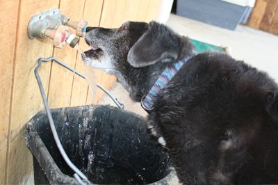 Samantha going for faucet