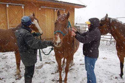 Lena vaccination April 23