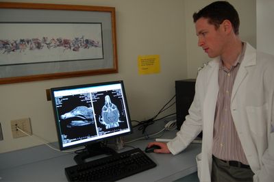 Callie's MRI images with Dr Wininger