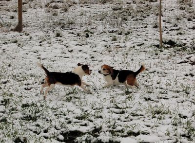 Austin and Stuart playing