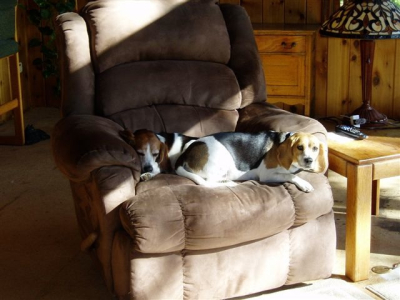Stuart and Daisy in chair