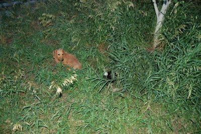 Austin and Oliver at hole