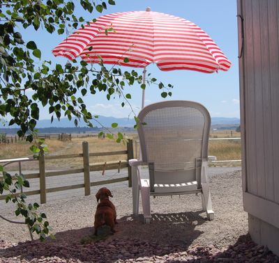 Callie under beach umbrella