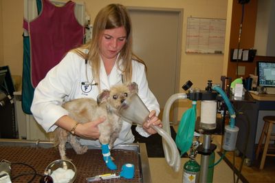 Teddy with Jennifer Aug 23