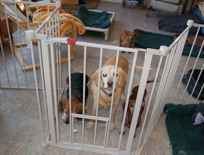 Barbarians at the gate