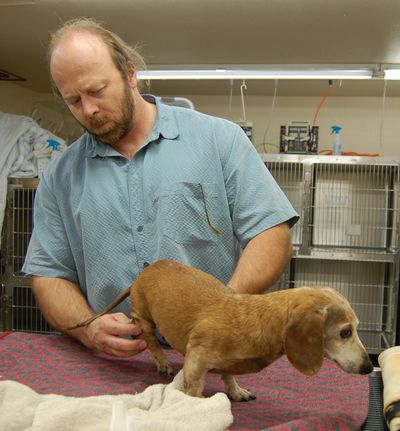Bailey with Dave Bostwick