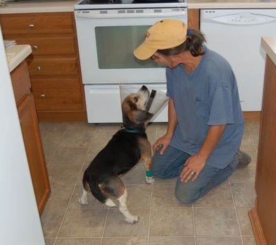 Charlie looking at Alayne