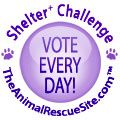 Shelter Challenge Logo