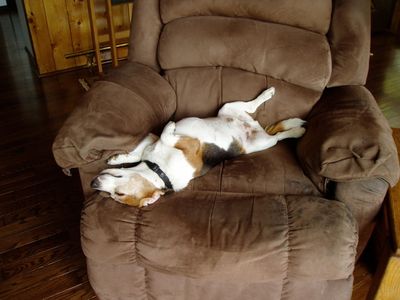 Stuart sleeping at Dan and Cheryl's