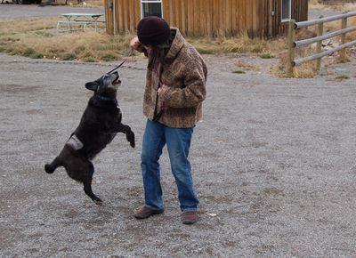 Samantha coming home