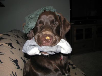 Creighton Emmitt with sock in mouth