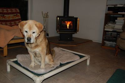 Madison in front of fire 2