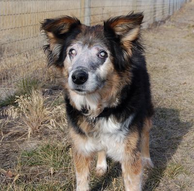 Gabe with radiation effect