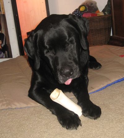Luke with bone