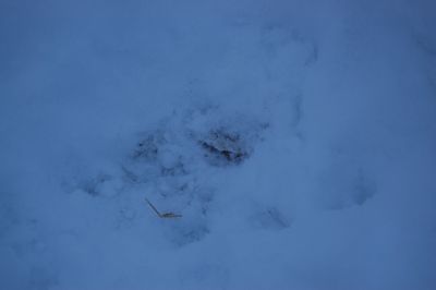 Austin burying toy 3