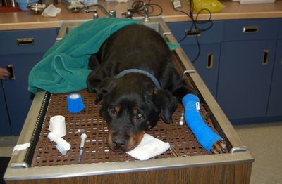 Helen in clinic Dec 13