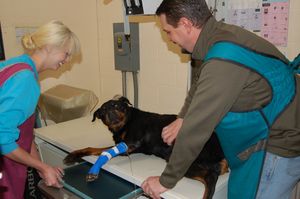 Helen tummy rub during X-ray