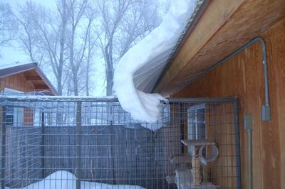 Snow on cat house roof 2