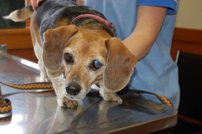 Widget on exam table