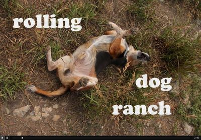 Best Friends Slideshow