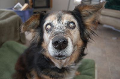 Gabe close-up for blog