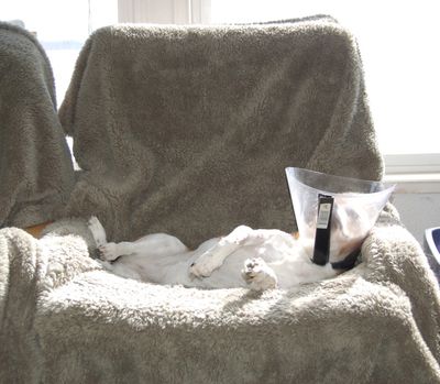 Widget with cone up in air