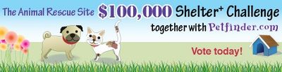 468x120_ShelterChallenge_Jan2010