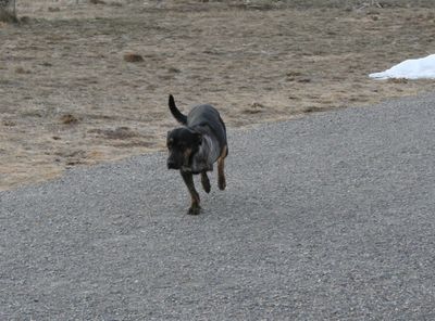 Timmy running
