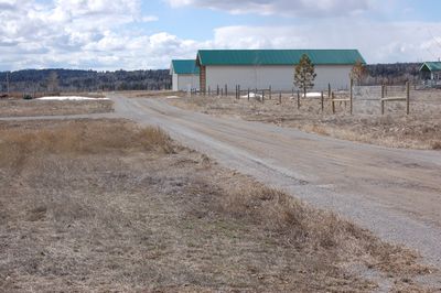 View of Snow-free Drive
