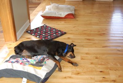 Helen and Spinner May 27